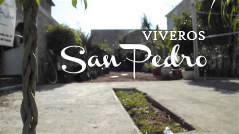 VIVERO SAN PEDRO| spot   YouTube