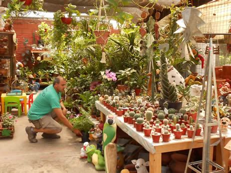 Vivero San Pio   Plantas y Flores   Guia de Bella Vista y San Miguel