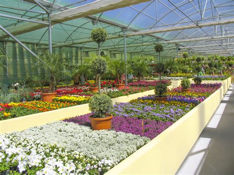 Vivero y Plantación propia   Fantastic Gardens   Más 40 hectáreas Ronda