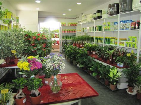 Viveros de plantas: características y requerimientos | Jardineria On