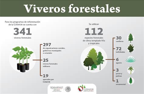 Viveros Forestales | Yo planto mi futuro | Campañas | gob.mx