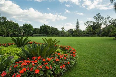 Viveros San Miguel | Salón de Eventos | Vivero, Salón de eventos, Eventos