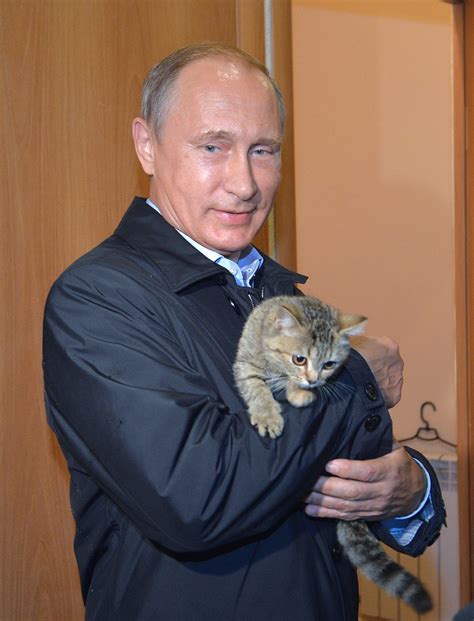 Vladimir Putin Presidente de Rusia | Владимир путин | Cats ...