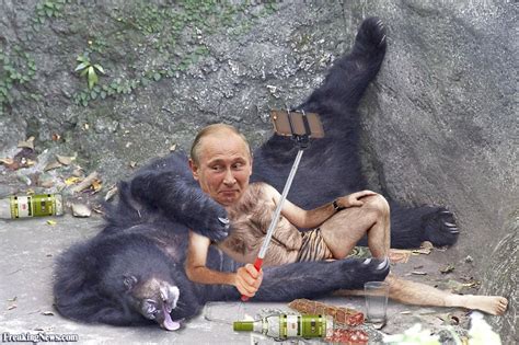 Vladimir Putin Taking a Selfie with a Bear Pictures ...