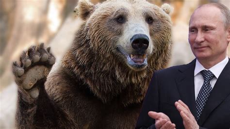 Vladimir Putin Vs Bear Fight Promo   YouTube