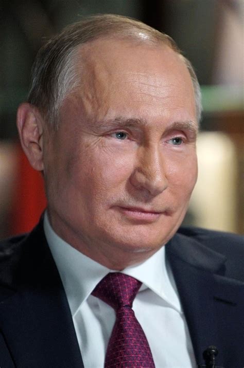 Vladimir Putin Wikipedia   SEONegativo.com