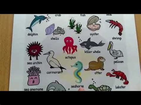 Vocabulario animales del mar en inglés y español.   YouTube