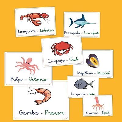Vocabulario básico: Pescados y mariscos | aaa aprende ...