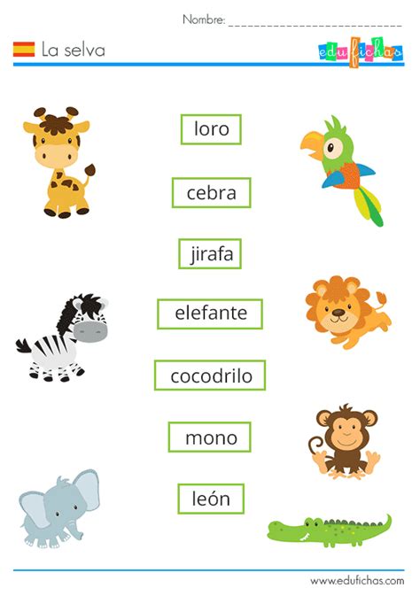 Vocabulario de la selva en español con ejercicio Cuadernos para niños