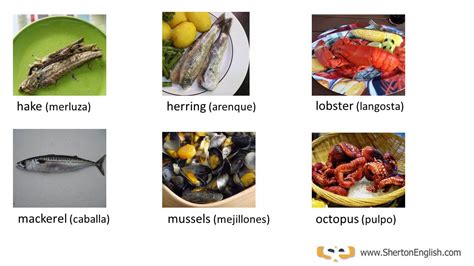 Vocabulario Inglés: Pescados & Mariscos  Fish & Seafood ...