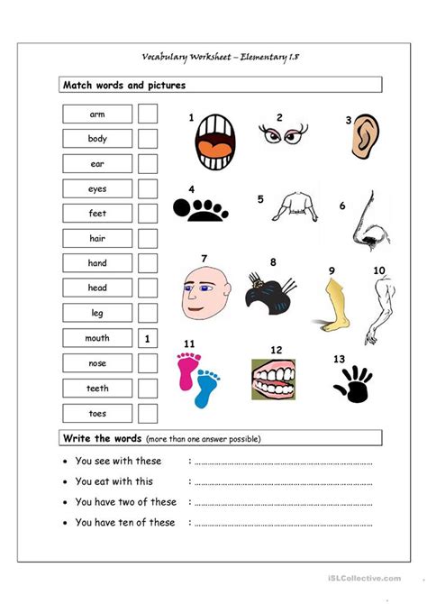 Vocabulary Matching Worksheet   Elementary 1.8  Body parts ...