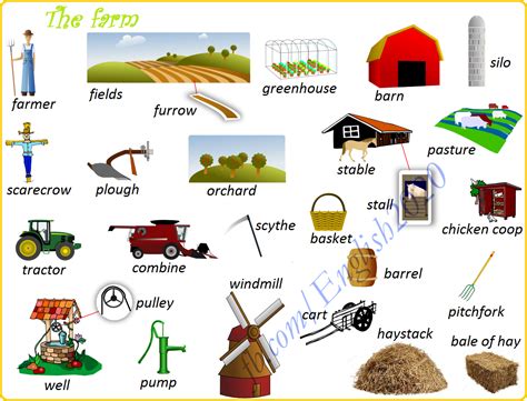 Vocabulary: The farm | Aprender ingles vocabulario, Cosas de ingles ...