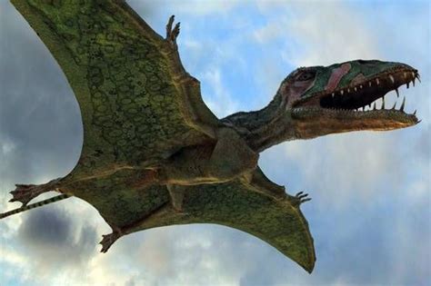 volador | Flying monsters, Prehistoric creatures, Prehistoric