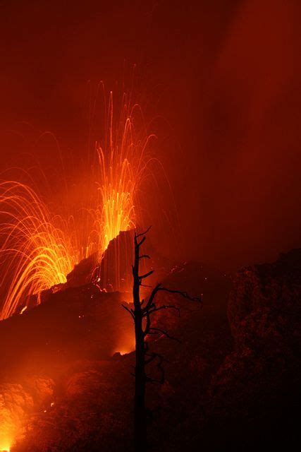 Volcan Pacaya   Guatemala | Amazing nature, Nature photos