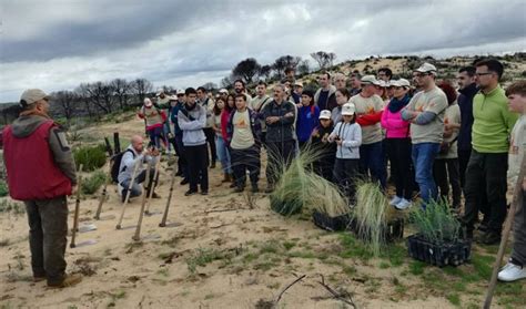 Voluntarios ambientales participan en la restauración de Las Peñuelas ...