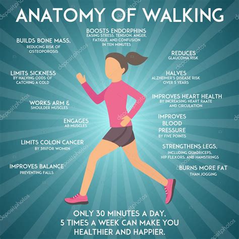 Walking effects infographic vector illustration. Fitness ...