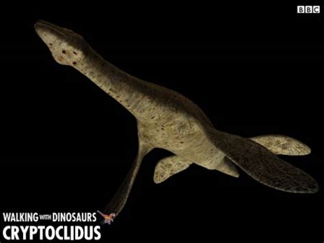 Walking with Dinosaurs   Fact File: Cryptoclidus