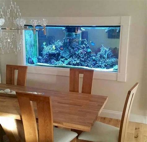Wall Mounted Fish Tank and Aquarium  con imágenes  | Acuario de pared ...