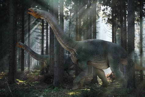 Wallpaper : dinosaur, mesozoic era, walk, forest 1944x1296 ...