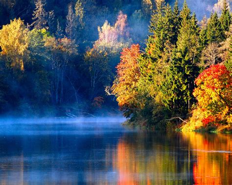 Wallpaper Latvian autumn forest river mist in the morning ...
