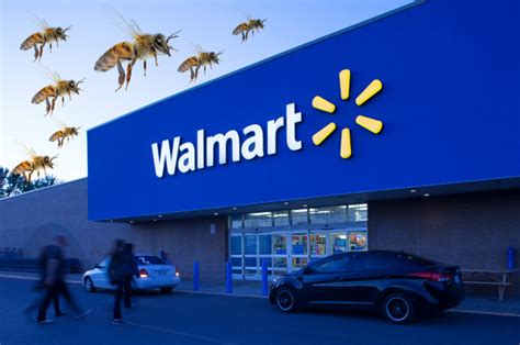 Walmart de México acuerda compra de 52 tiendas en Costa Rica – Códice ...