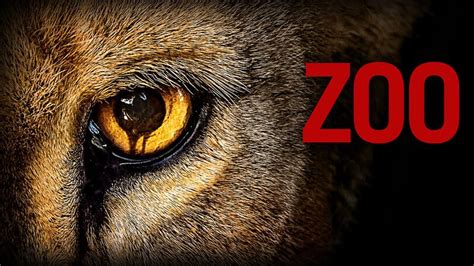 Wanneer verschijnt Zoo seizoen 3 op Netflix?   Netflix Nederland ...