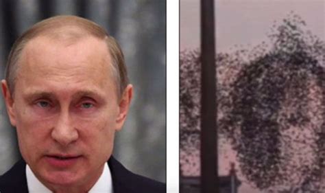 WATCH: Flock of birds make Vladimir Putin s face over New ...