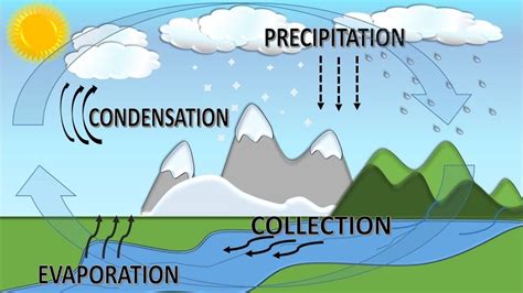 Water Cycle For Children with Song, Ciclo del Agua en ...
