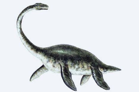 Water Dinosaurs Names | Click here for more Plesiosaur ...