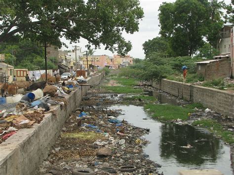 Water pollution in India   Wikipedia
