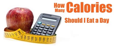 Web calculator of calories: How many calories to eat per ...