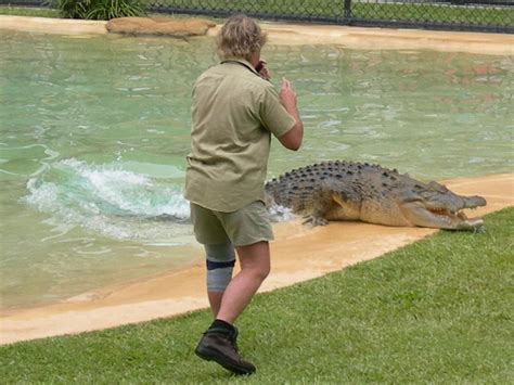 Weekend | ¿Cómo murió Steve Irwin, el famoso cazador de cocodrilos?