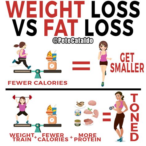 Weight loss vs fat loss – Weight Loss Workout Plan for ...