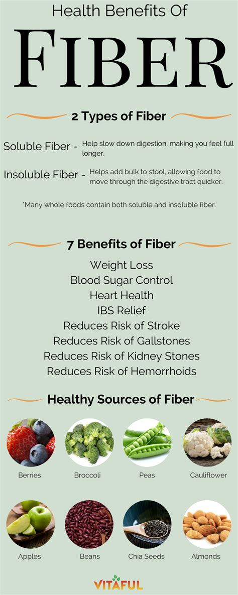Wellness Tips: Learn About The 2 Main Types of Fiber ...