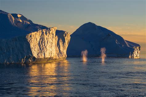 West Greenland | Icebergs & Arctic Sunsets Photography ...