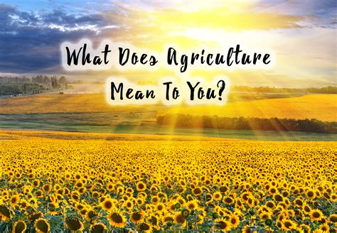 What Agriculture Means To You  Around The World Edition ...