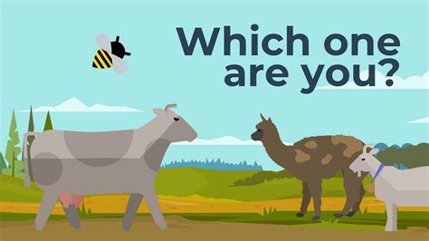 What Animal Are You?   Quiz   YouTube