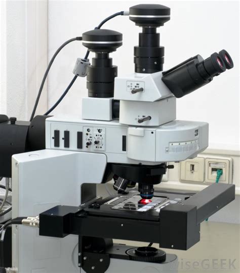 What are the Different Types of Microscopes?  with pictures