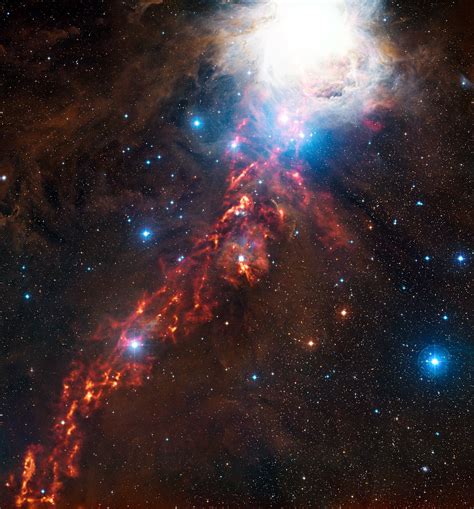 What Are the Stars in Orion’s Belt?
