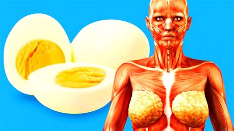 What Happens to Your Body When You Start Eating 2 Eggs a ...