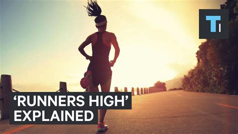 What happens to your brain when you get a  runner s high    YouTube