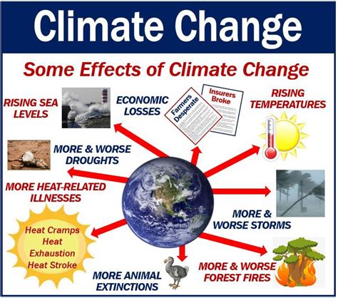 What is climate change? Definition and examples   Market ...