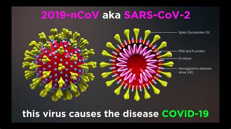 What is COVID 19?  Coronavirus Update    YouTube