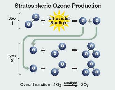 What is ozone, and how is it formed within the ...