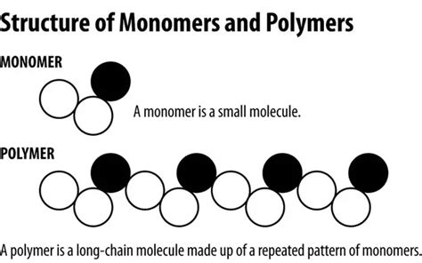 What is polymer? How many types of polymers are classified? Explain ...