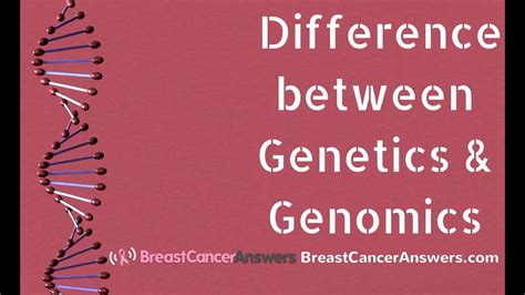 What Is the Difference between Genetics and Genomics ...