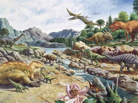 What is the Mesozoic era  Phanerozoic Eon ?