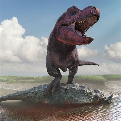 What is the weight of a T. rex?   Quora
