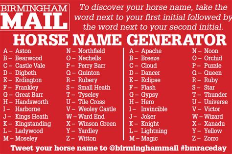 What s your horse name? Get in the mood for the Birmingham Mail s ...