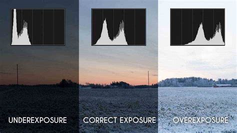 What your cameras histogram means and how to use it.